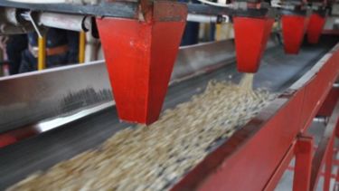 A wheat processing line.